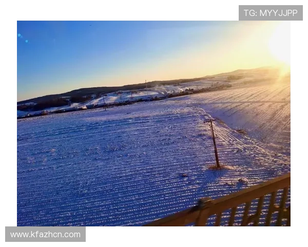 凯发网官方网站地址公布及其在不同地区的访问技巧介绍